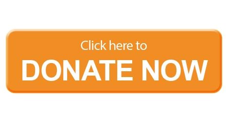 Donate Button Donate Button